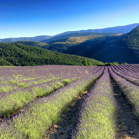 Divinessence * La Roche-sur-le-Buis